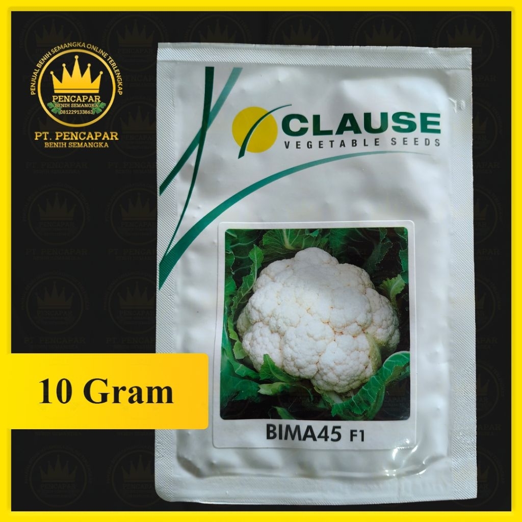 benih bunga kol BIMA45 F1 isi 10gram