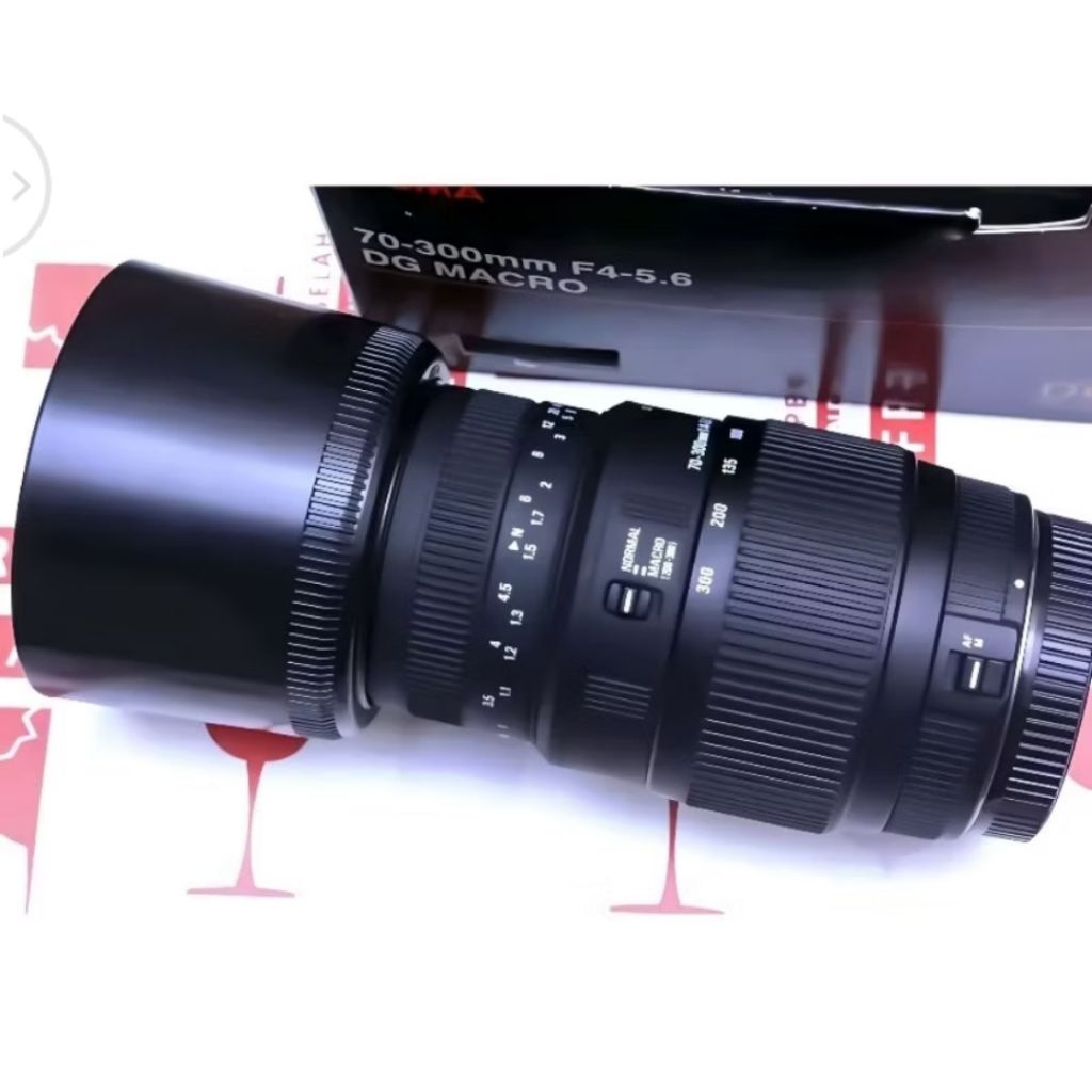 lensa kamera Canon 70-300mm