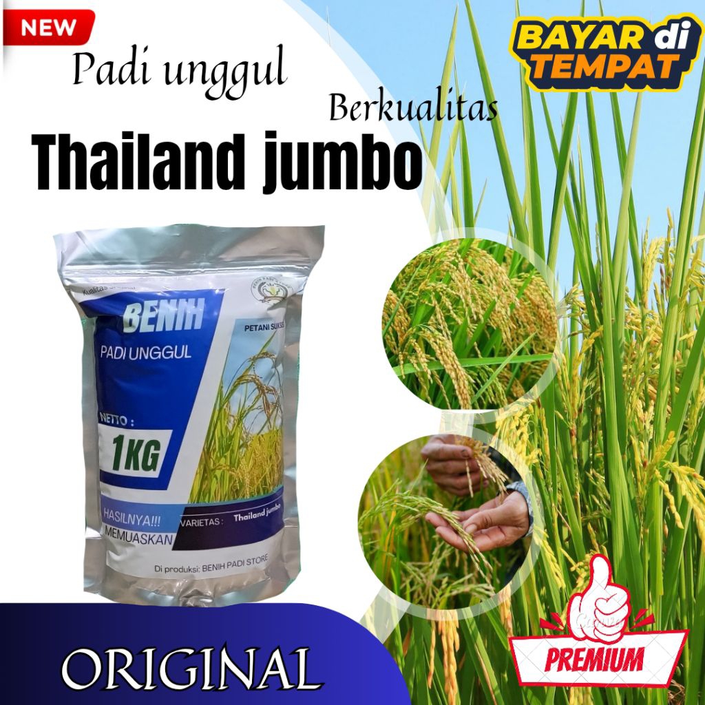 BENIH PADI THAILAND JUMBO AROMATIK KEMASAN 1KG RAJANYA BOBOT