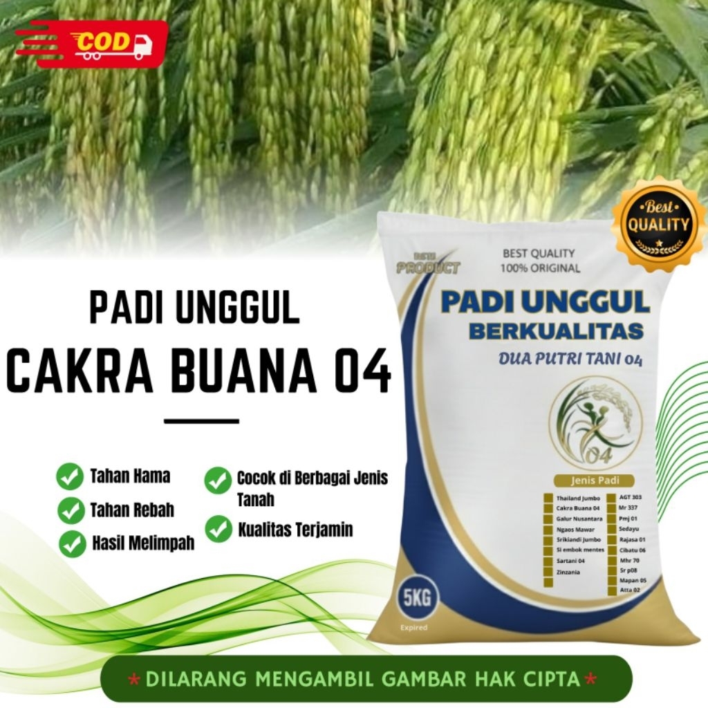 bibit PADI CAKRABUANA 04 Kemasan 5kg