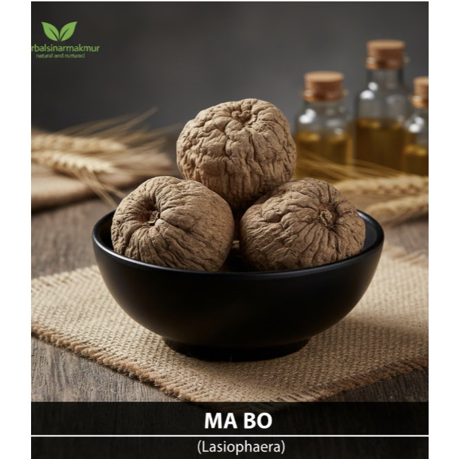 Ma Bo 150gr (Puffball Mushroom) - Herbal Pereda Sakit Tenggorokan, Amandel & Mimisan