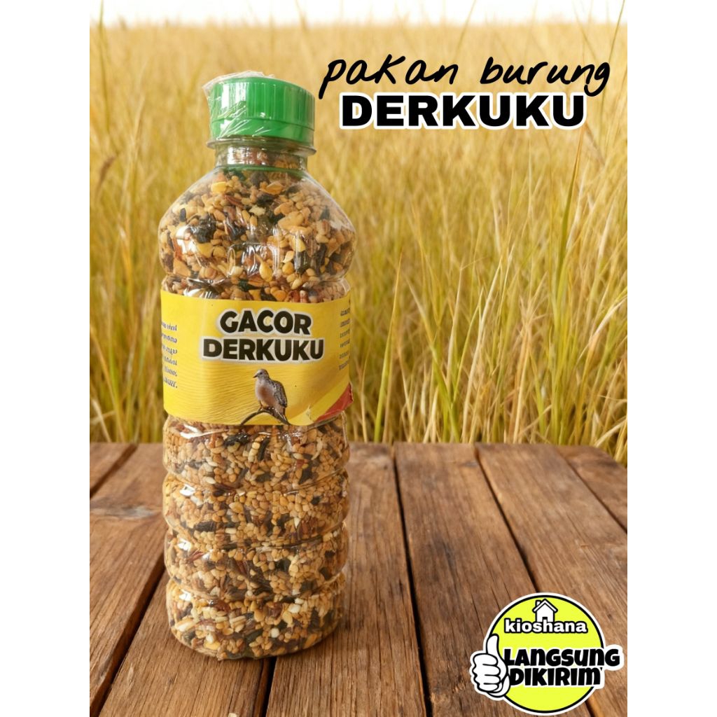 pakan burung derkuku puter tekukur