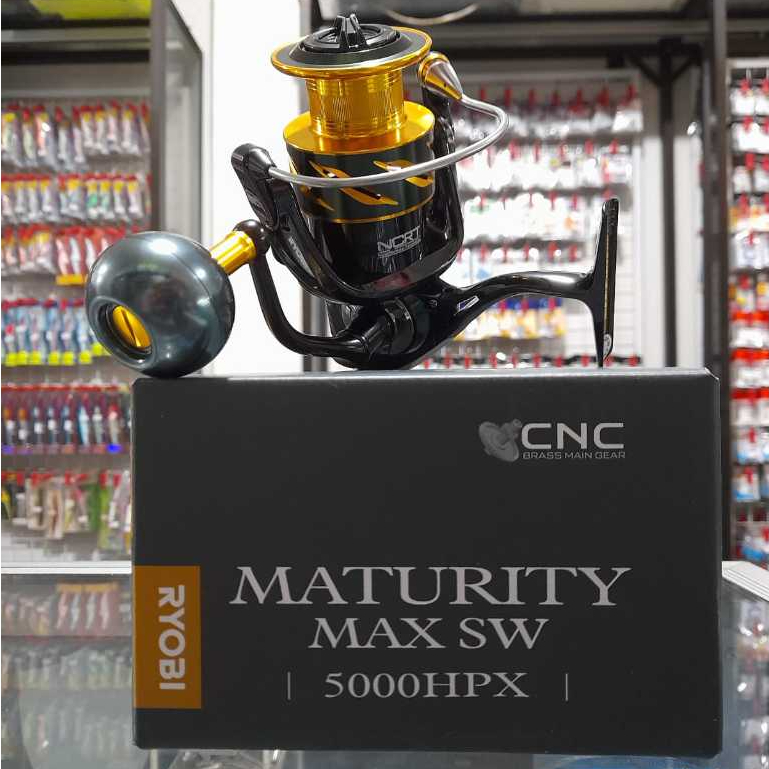 Ryobi Maturity Max SW 5000 / 6000 HPX