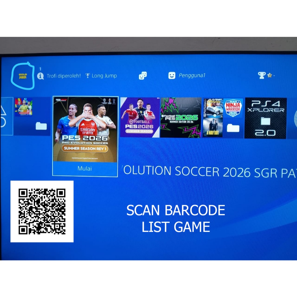 ISI GAME PS4 HEN /PS5 HEN SATUAN - GAME BEBAS