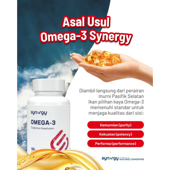 Synergy Omega-3 untuk Jantung Sehat & Pembuluh Darah