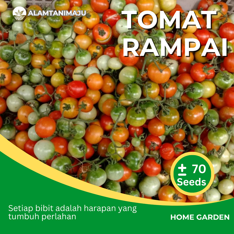 Alamtani - Benih Tomat Rampai Biji Bibit Tomat Rampai Berkualitas isi ± 70 Seeds