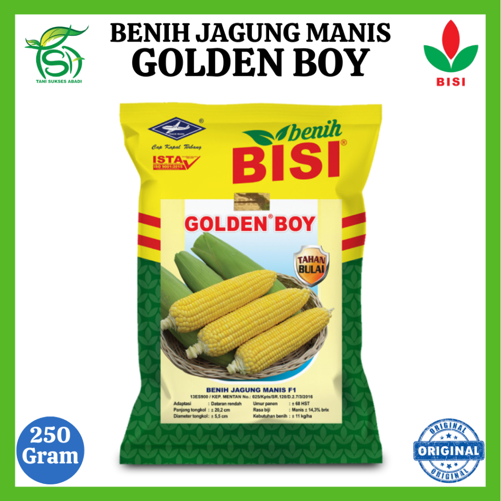 Benih Jagung Manis GOLDEN BOY (250 Gram) - Bibit Hibrida F1 BISI 1800 Butir