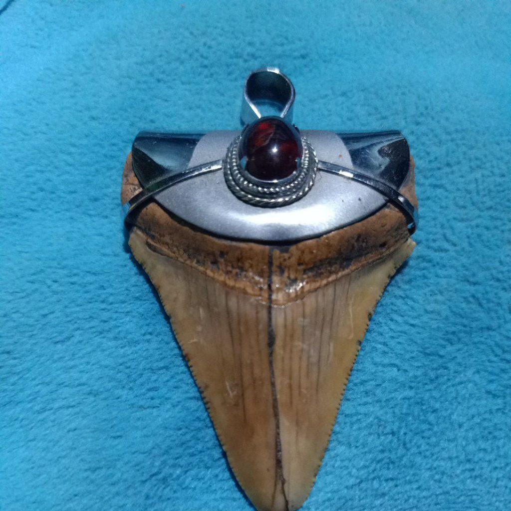 accecories liontin gigi hiu purba megalodon