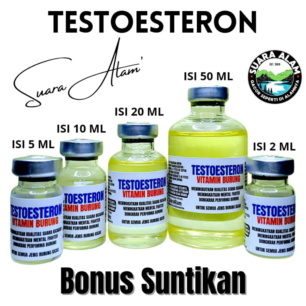 Testosterone Vitamin Burung Hormon Burung Testohormon