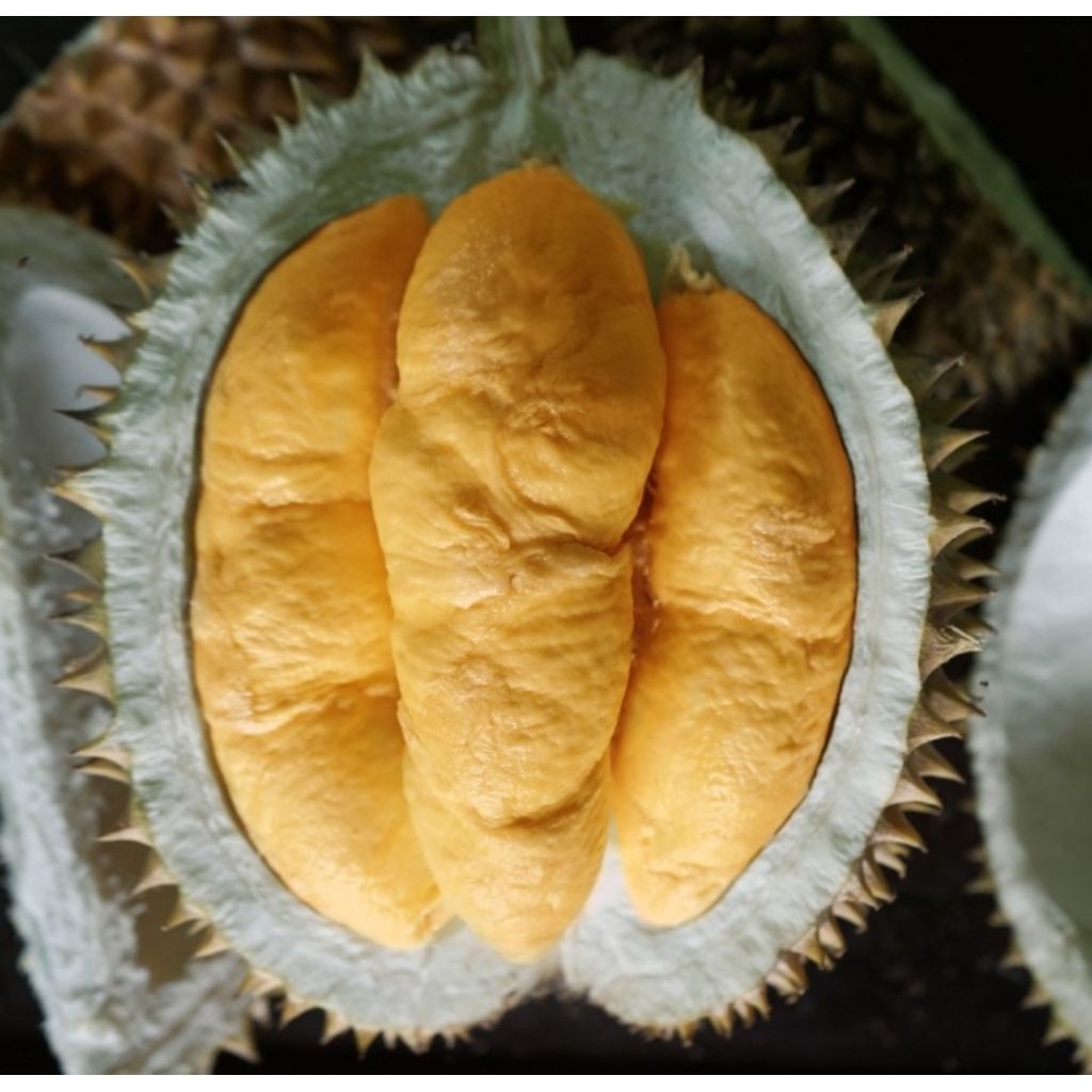 BUAH DURIAN BAWOR SUPER UTUH FRESH HARGA PER KG