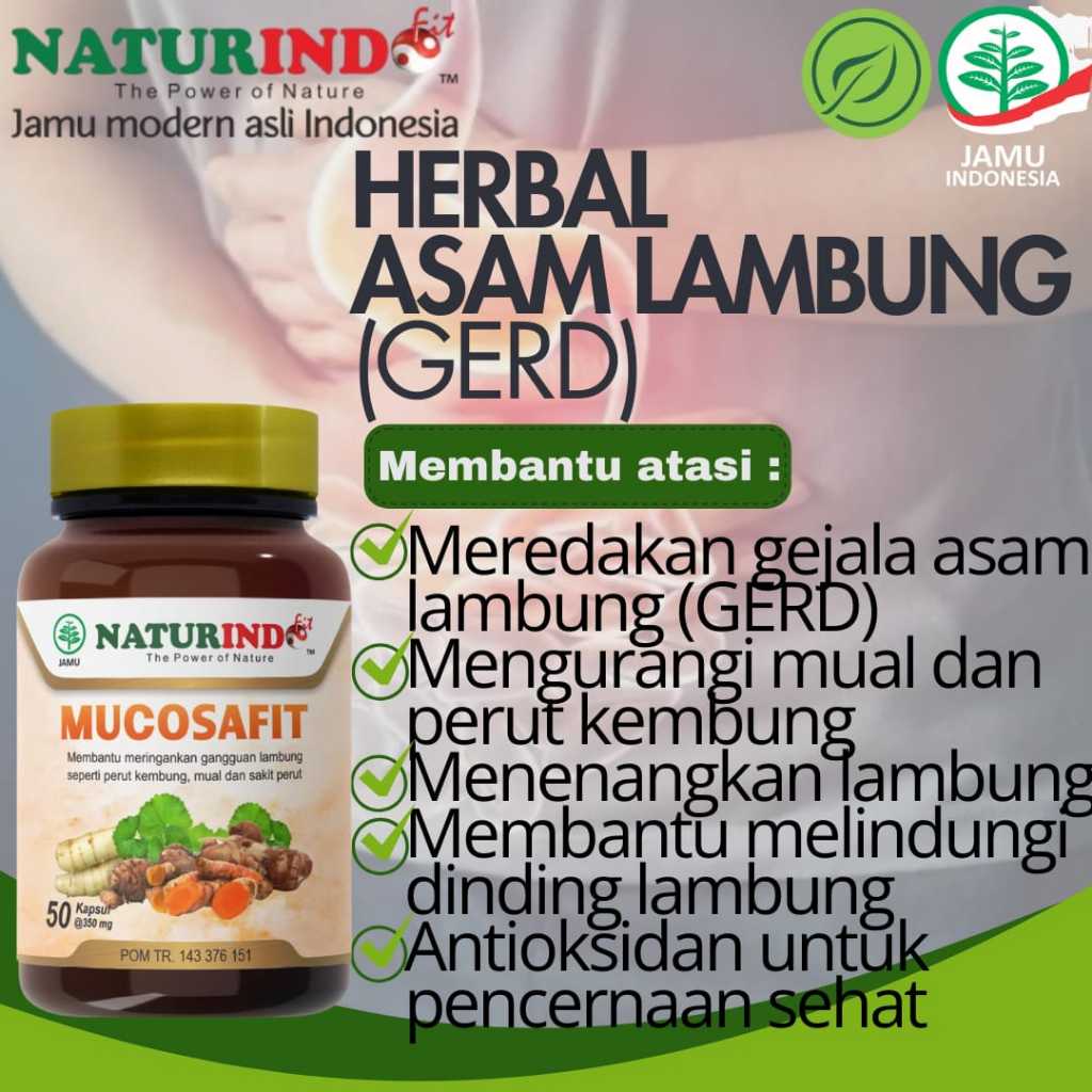 Herbal Asam Lambung meredakan asam lambung antioksidan untuk pencernaan NATURINDO