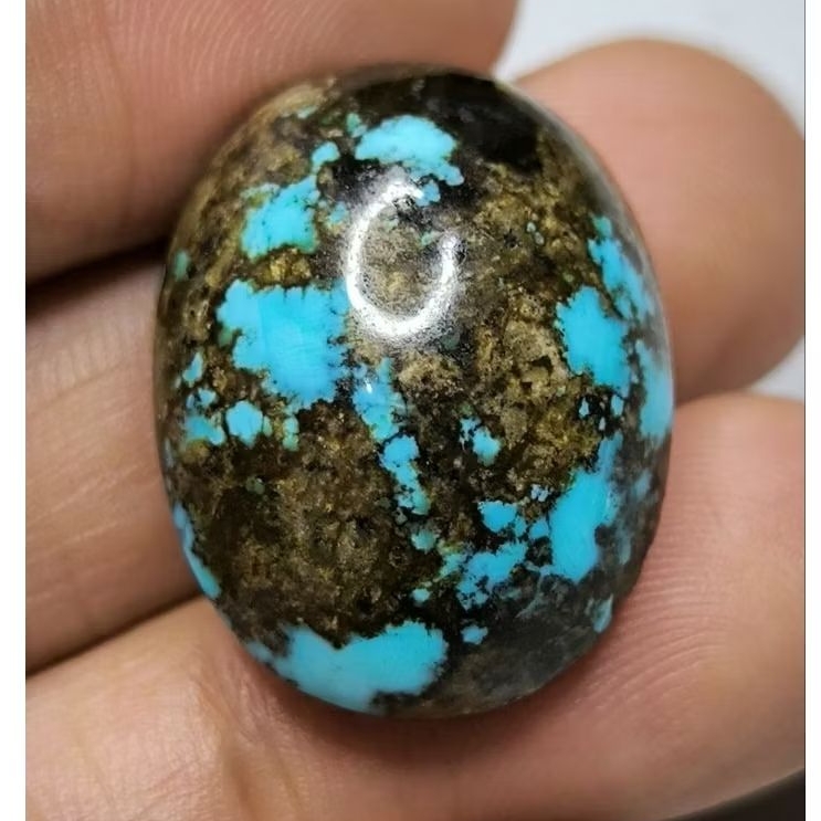 Pirus Persia Biru Fancy mumbul