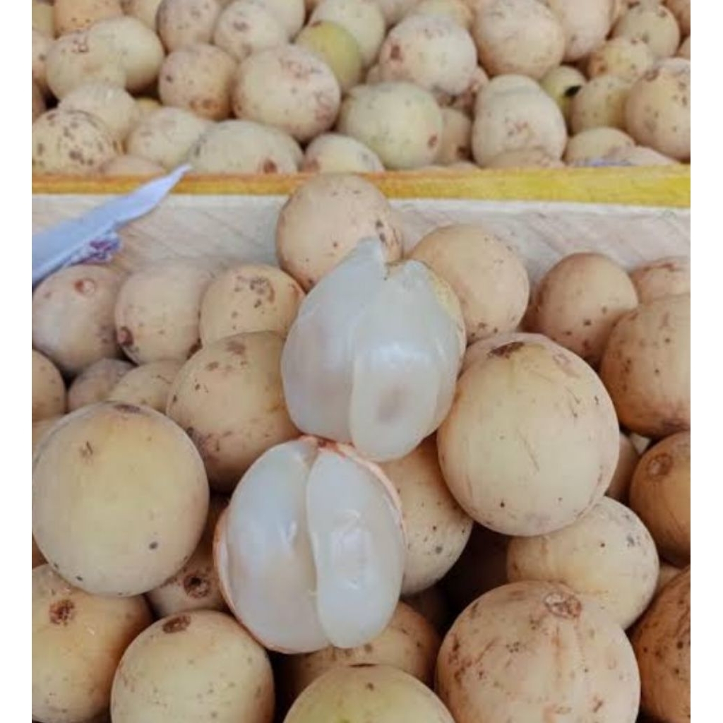 BUAH DUKUH PALEMBANG ASLI MANIS FRESH 1 KG