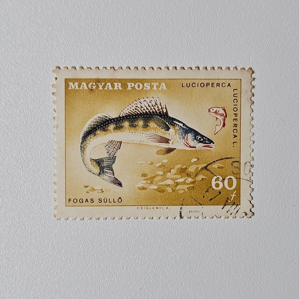 Perangko Tematik Fauna Ikan: Lucioperca 60 f (Perangko Klasik 1960)