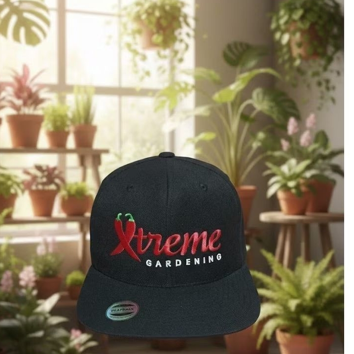 topi brand second (CLASSICS YUPOONG)