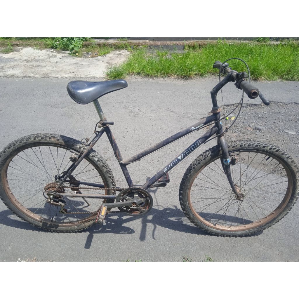 Frameset Polygon Premier Vintage