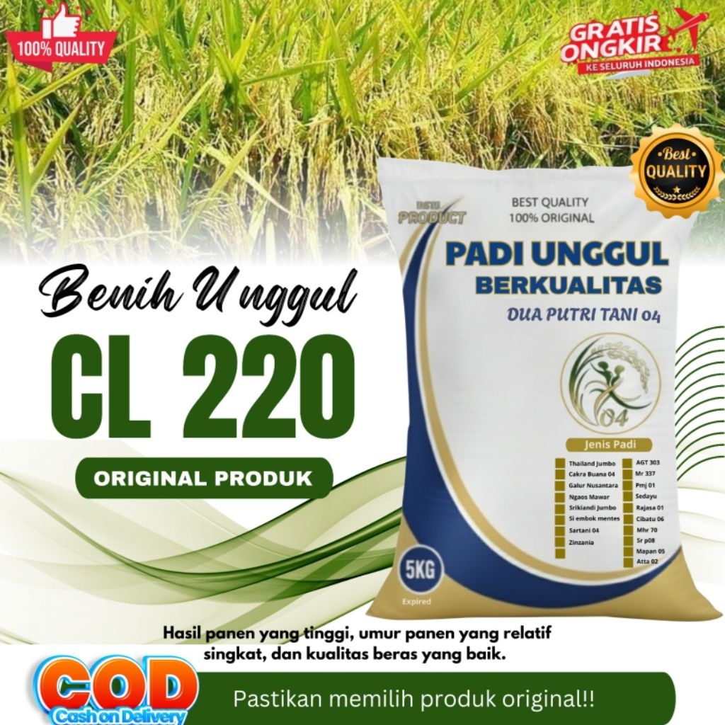 Benih Padi Unggul CL 220 Kemasan 5kg