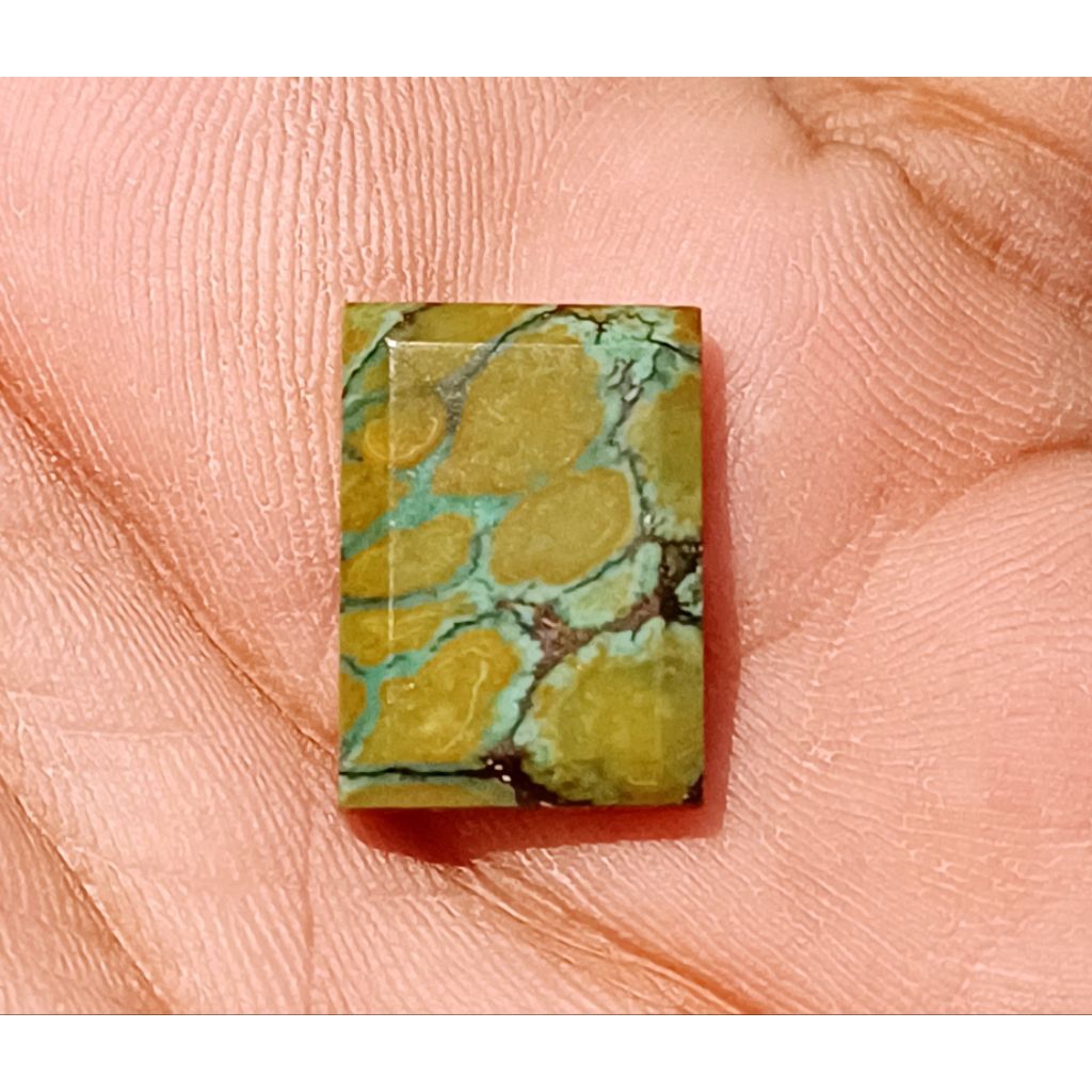 Pirus Hubei Premium kolektor item 0090