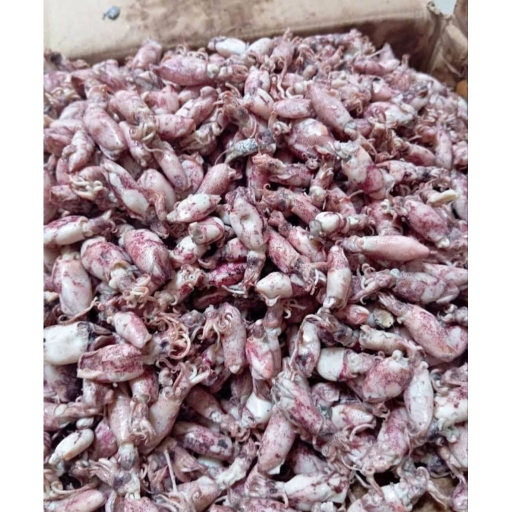 cumi kering cumi asin