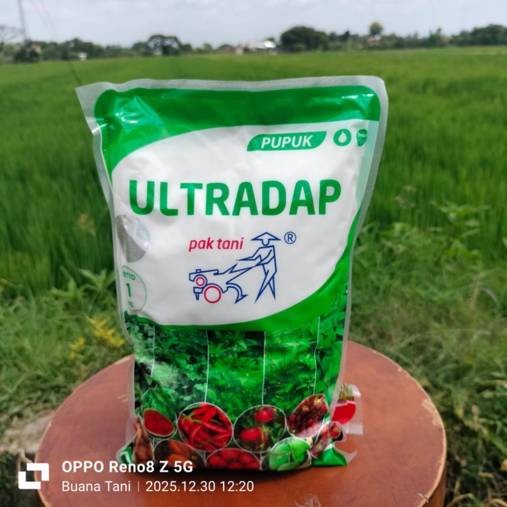 ULTRADAP 1kg Pupuk MAP Kristal - Perangsang Akar & Bunga - Untuk Sayuran & Tanaman Buah