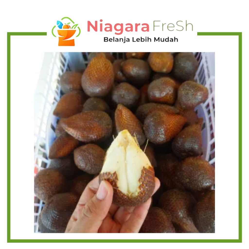 Salak Pondoh Manis Fresh 500-1kg – Salak Pondoh Asli Segar