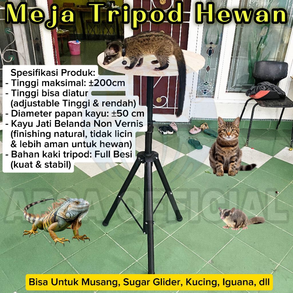 Meja Tripod Hewan Kayu Jati Belanda Diameter 50cm – Tinggi 200cm | Meja Display Kontes Musang, Iguan