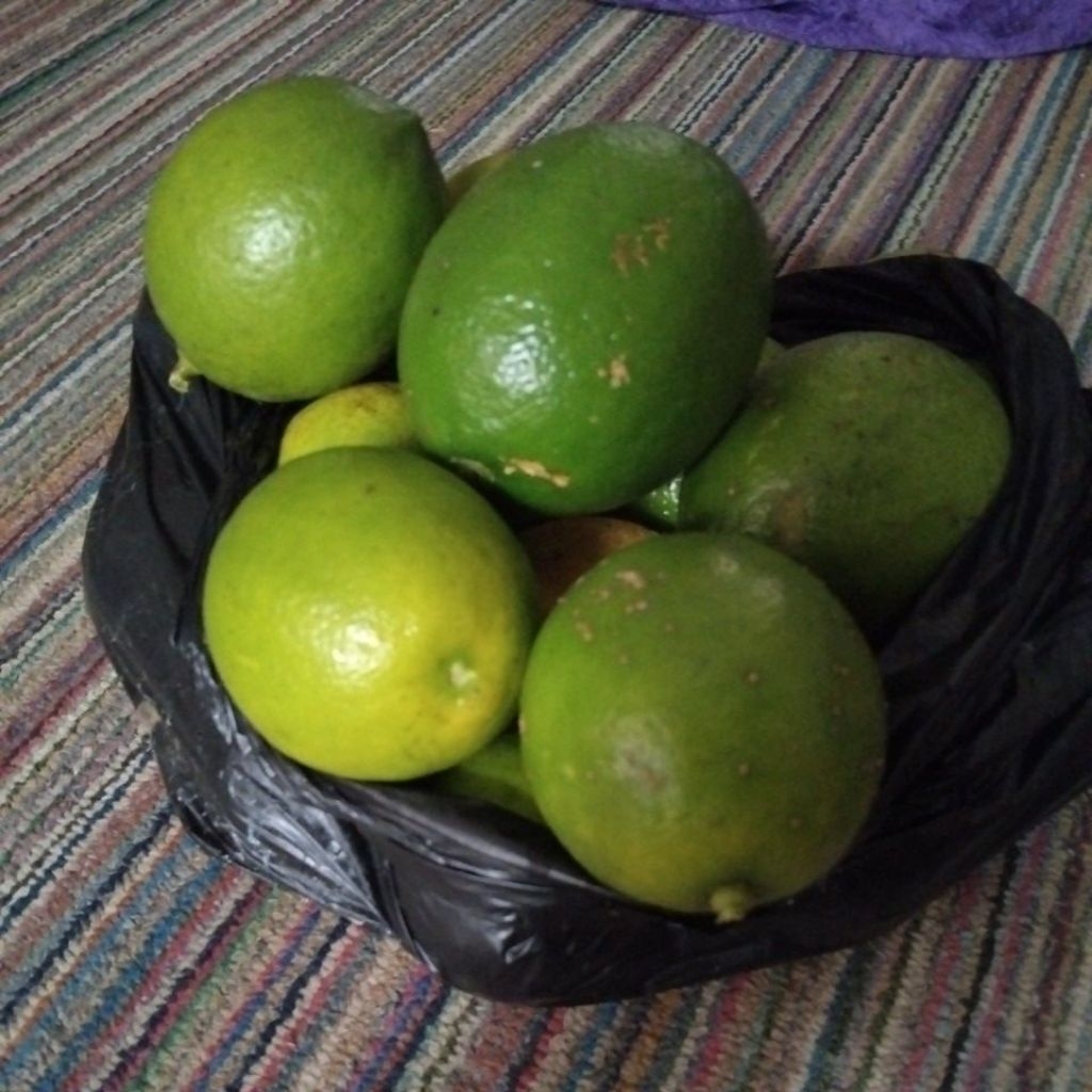 lemon lokal 1 kg
