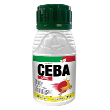 Ceba Insektisida Asetamiprid Abamektin Sistemik 250ml Petrokimia Kayaku