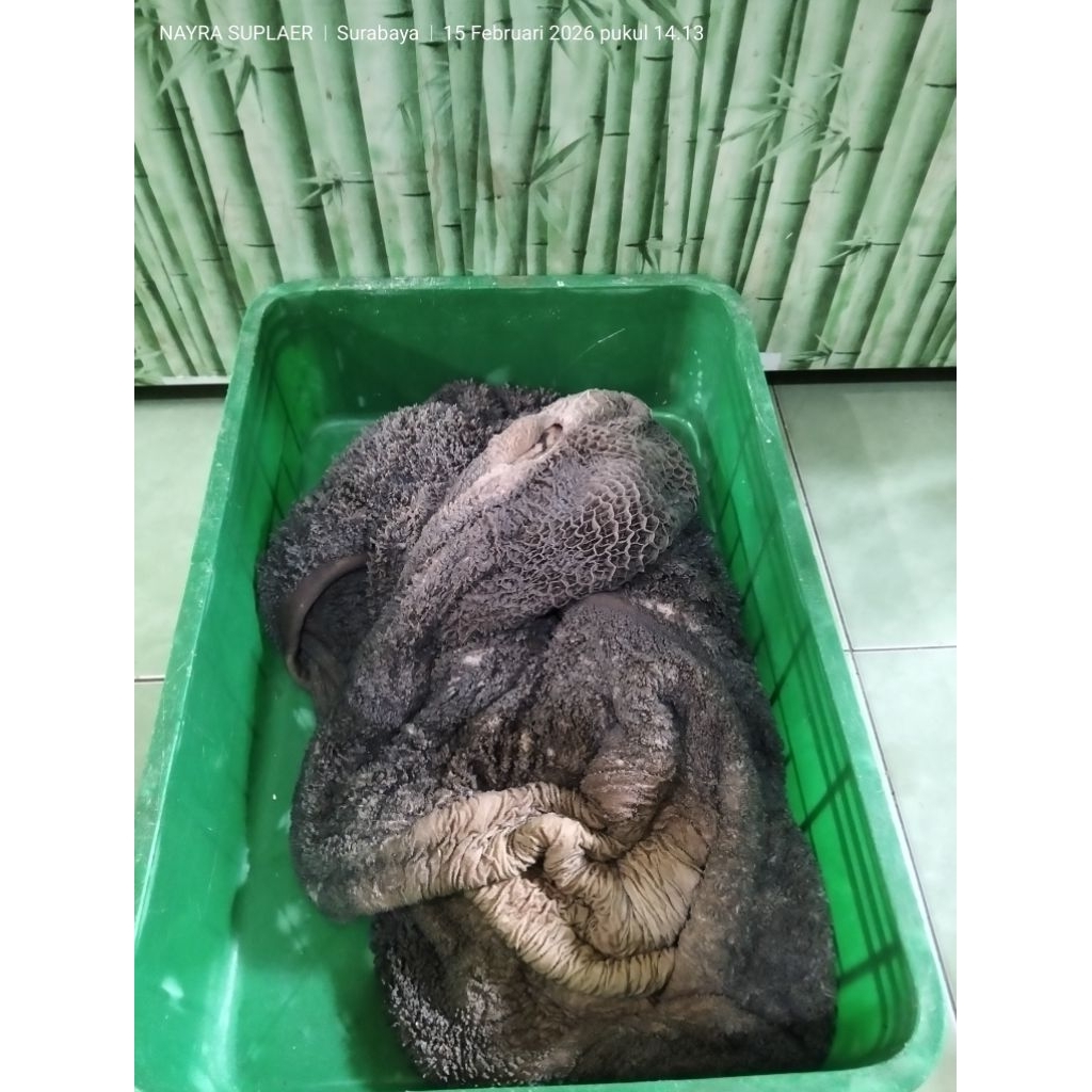 Babat Sapi Dan Usus/Iso fresh 500gr-1kg Segar