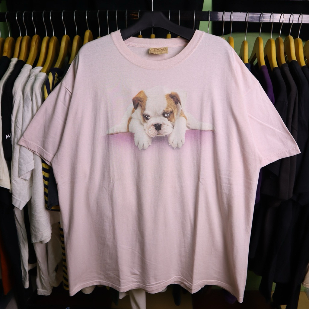 Kaos The Mountain Bulldog Puppy