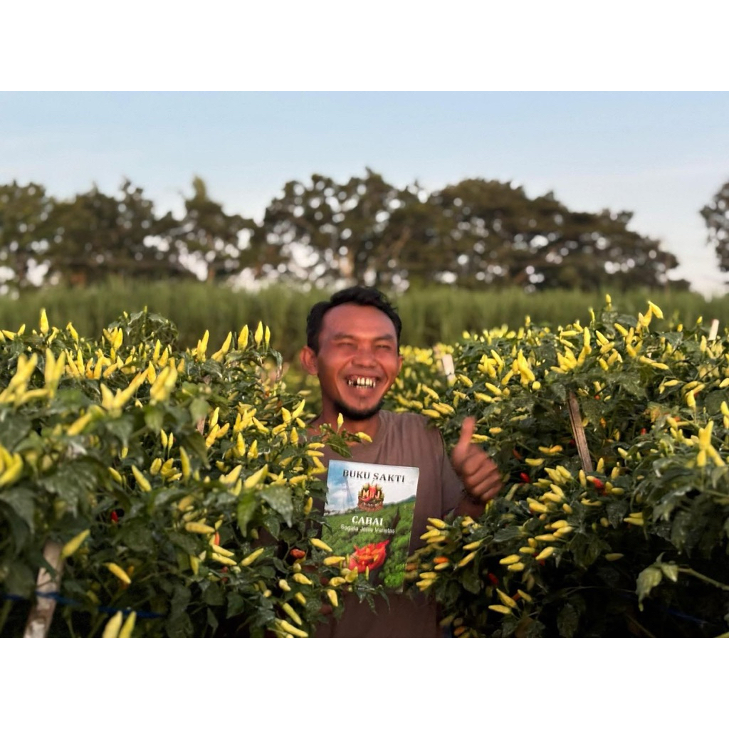 BUKU SAKTI MBJ/BUKU PANDUAN MENANAM CABAI SEGALA VARIETAS/BUKU SAKTI MBJ