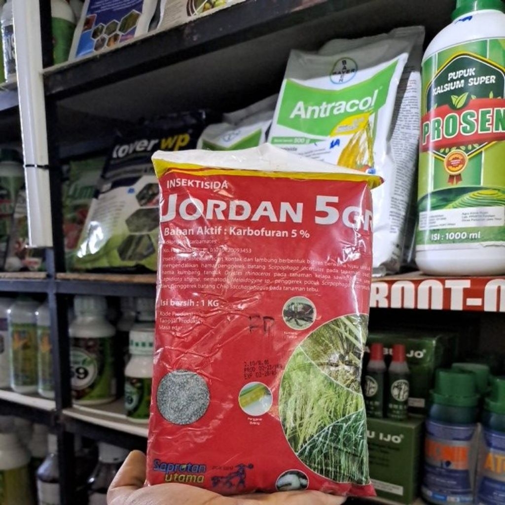 Insektisida Jordan 5 GR 1kg Pembasmi kumbang tanduk
