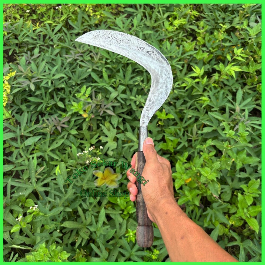 Zico Stored Toko Sekarwangi Sabit Arit Pengaritan Rumput Baja Putih Super Tajam