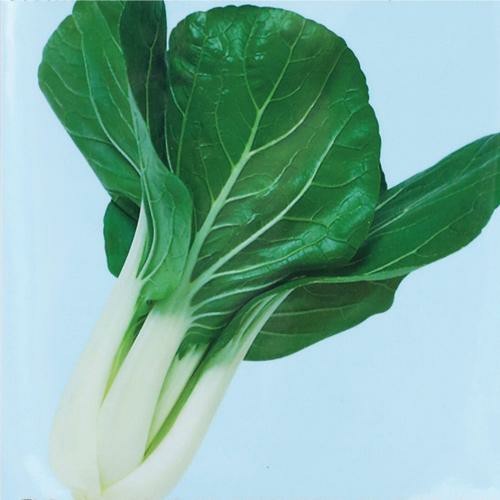 50 Biji Benih Pak Choy WHITE