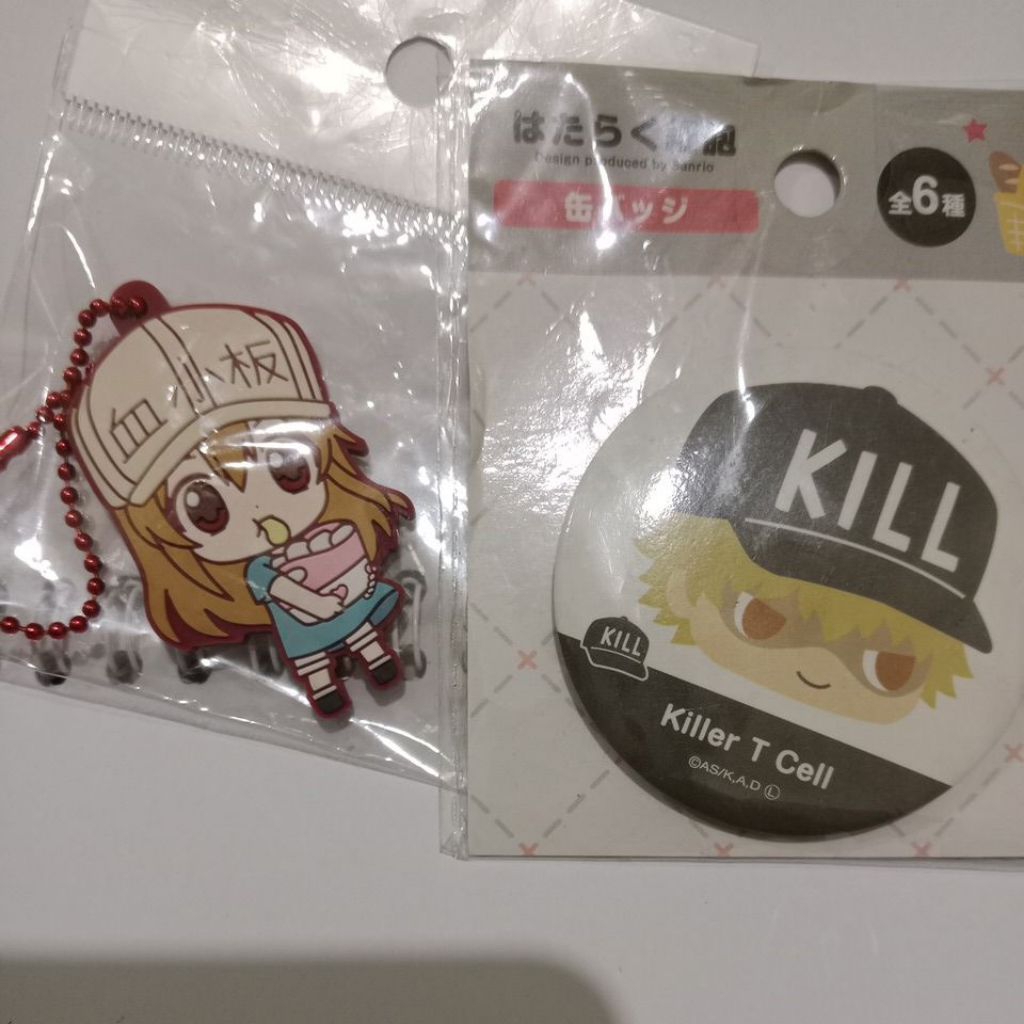 Official merch anime Hataraku saibou