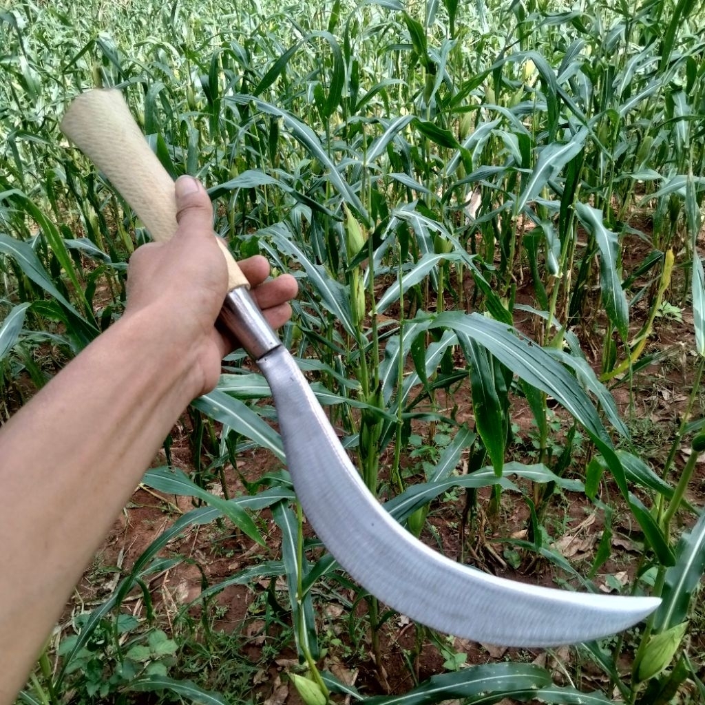 peralatan berkebun arit/sabit tani arit/sabit rombes arit/sabit rambam ketebalan 8mm bahan baja per 