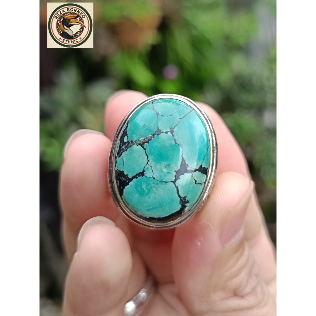 Pirus Hubei Hijau Natural Full Daging