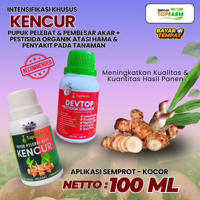 Pupuk Kencur Cair / Pupuk Tanaman Kencur / Pupuk Kencur / Pupuk Pelebat Buah Kencur / Obat Buat Tana