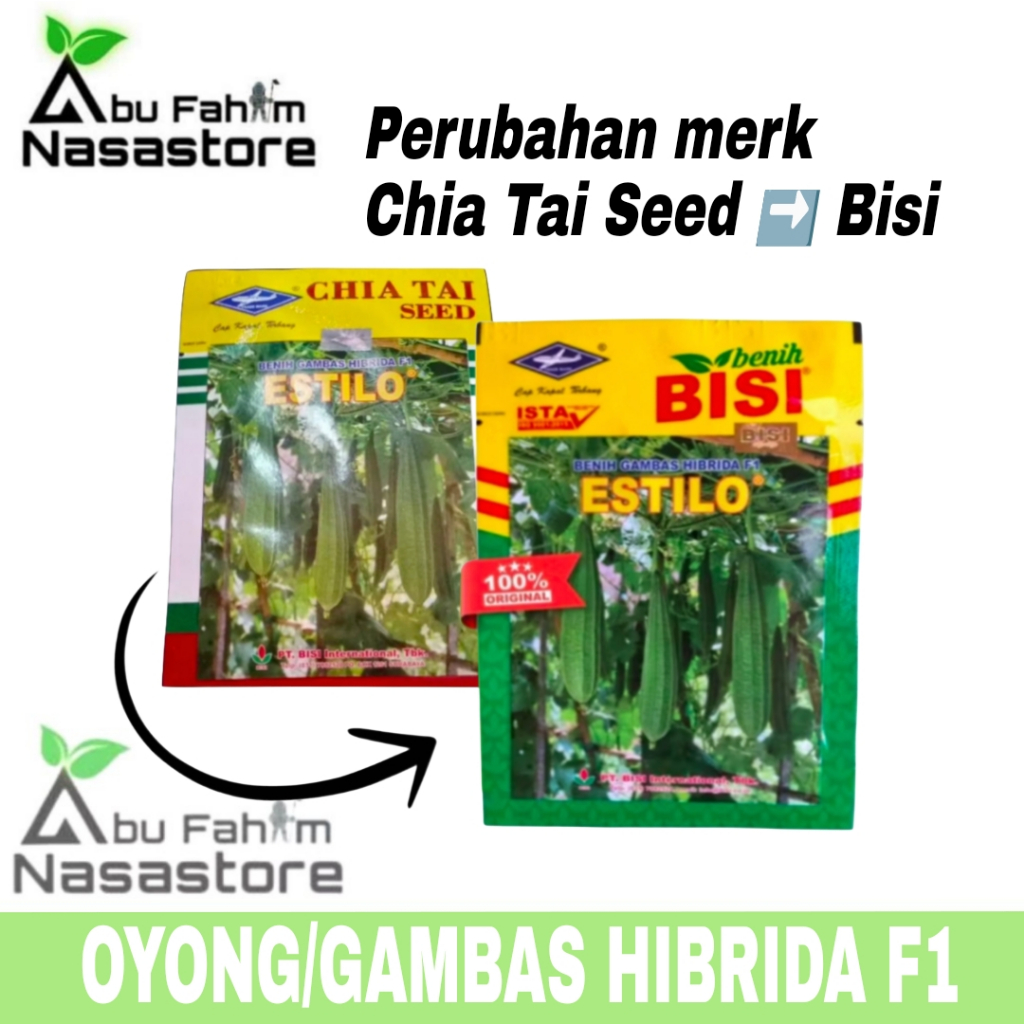 BIBIT BENIH OYONG ATAU GAMBAS ESTILO HIBRIDA F1 (CAP KAPAL TERBANG)