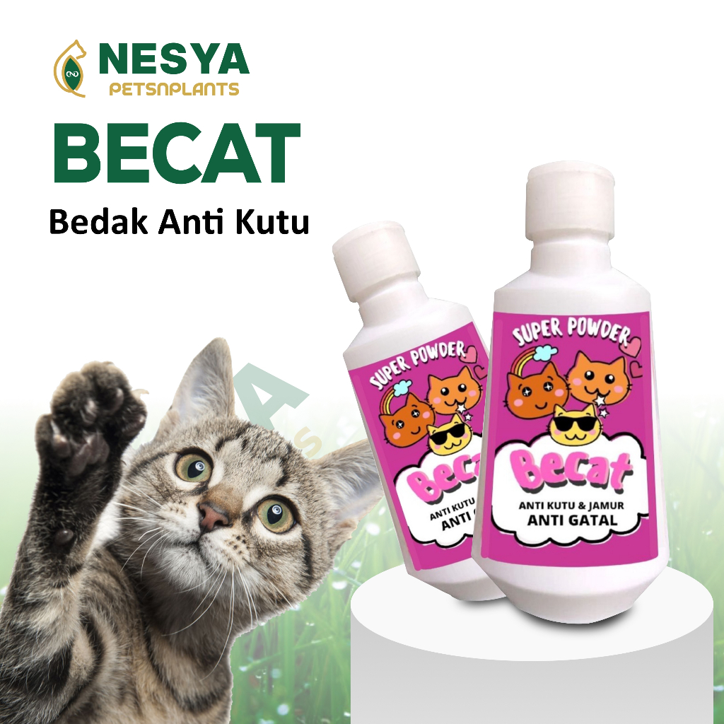 BECAT Powder Bedak Kucing Anti Kutu Jamur Dan Gatal Bedak Wangi Kucing