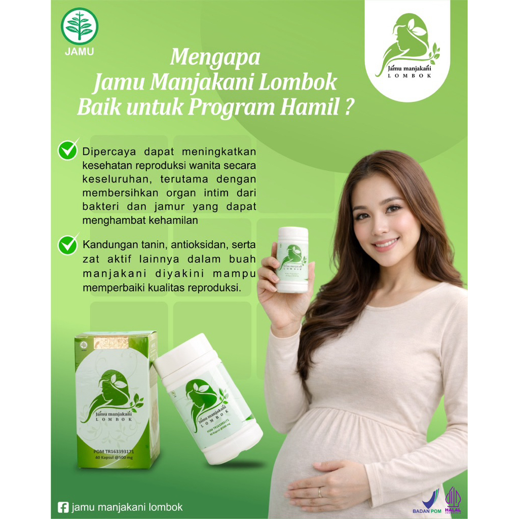 jamu manjakani lombok basmi keputiha dan bau tidak sedap pada kewanitaan