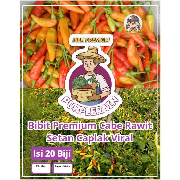 Bibit Premium Cabe Rawit Setan Caplak Viral | Biji Benih Cabe Rawit Japlak | Cabe Rawit Setan Viral