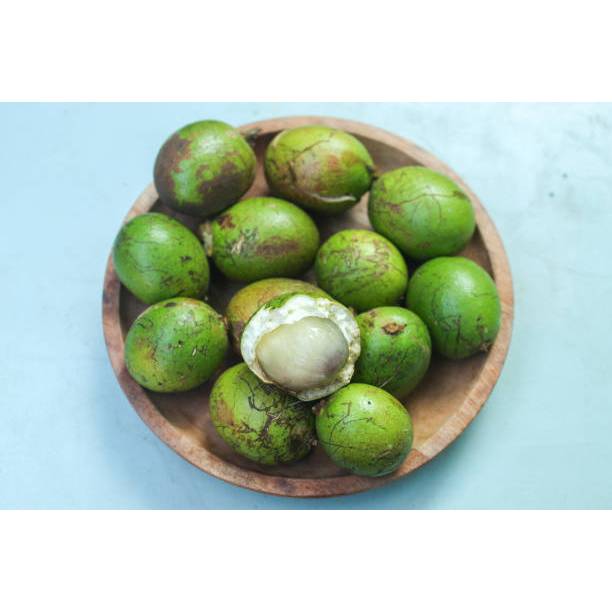 COD - BENIH BUAH MATOA