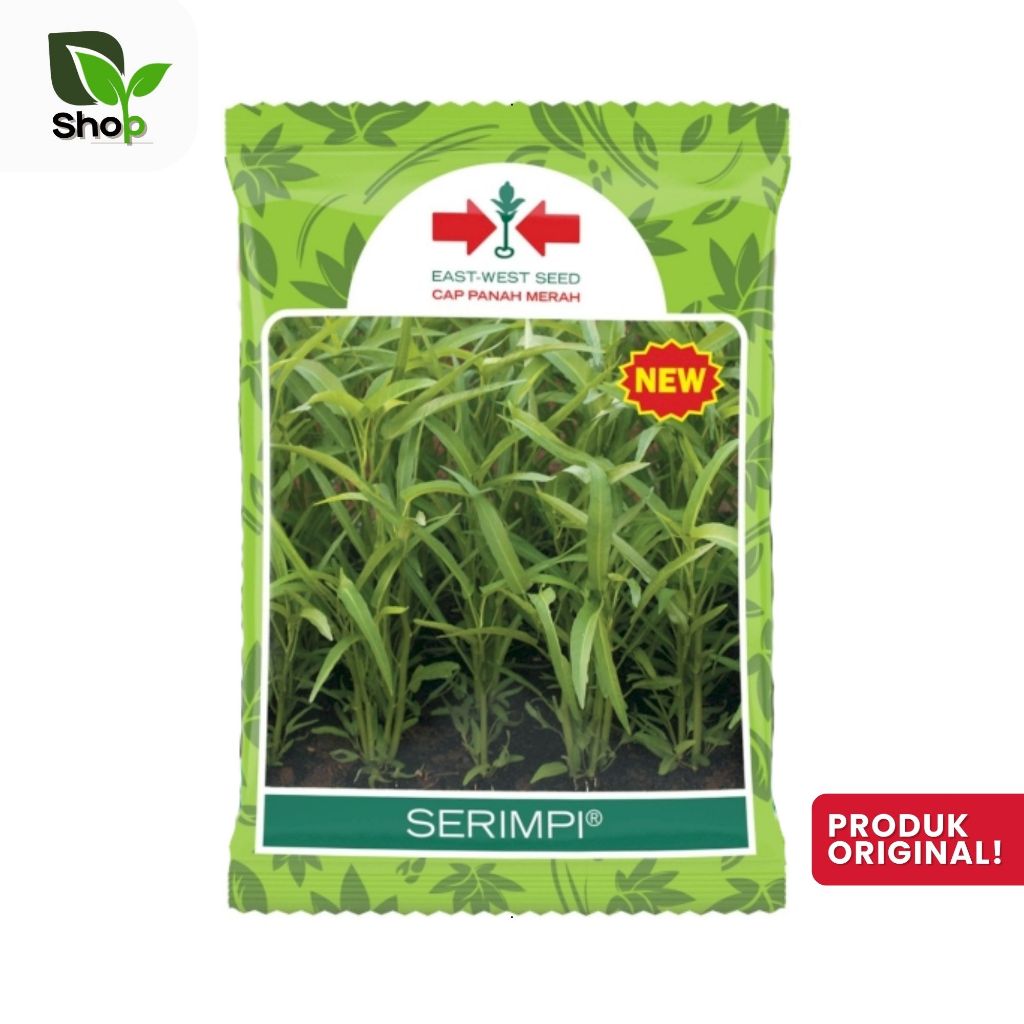 Benih Kangkung Serimpi 1kg Kangkung Daun sempit