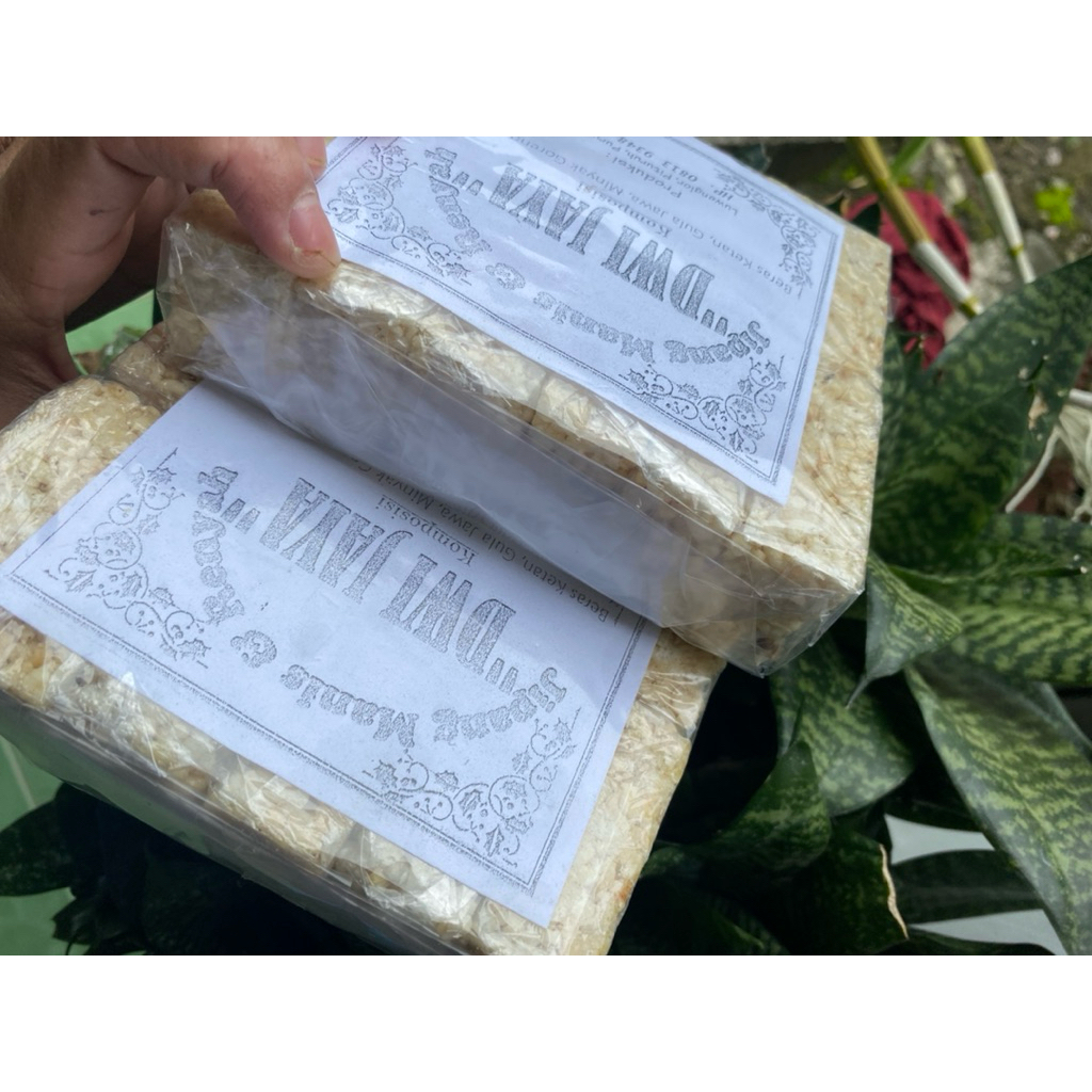 jipang beras ketan khas purworejo per pack isi 12 pcs