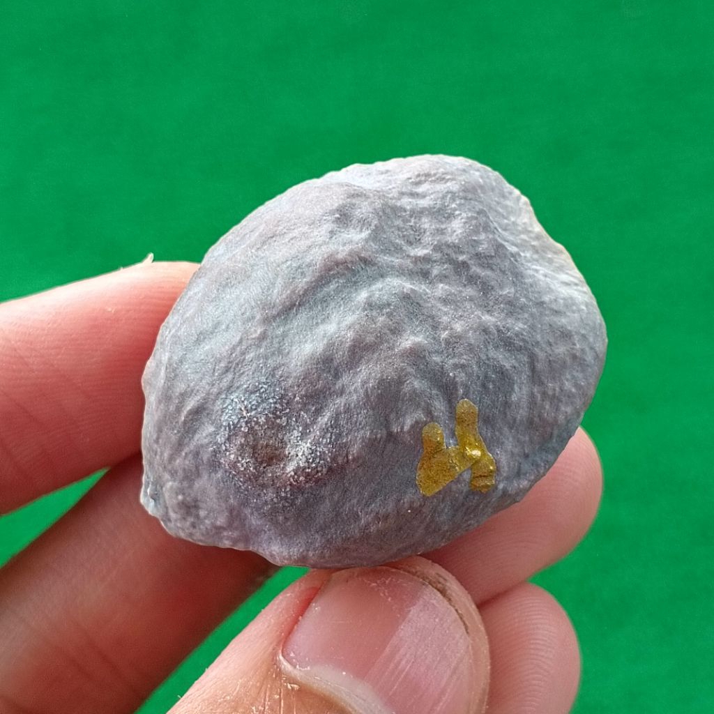 Muncang Adu Pait x Softex kode 4