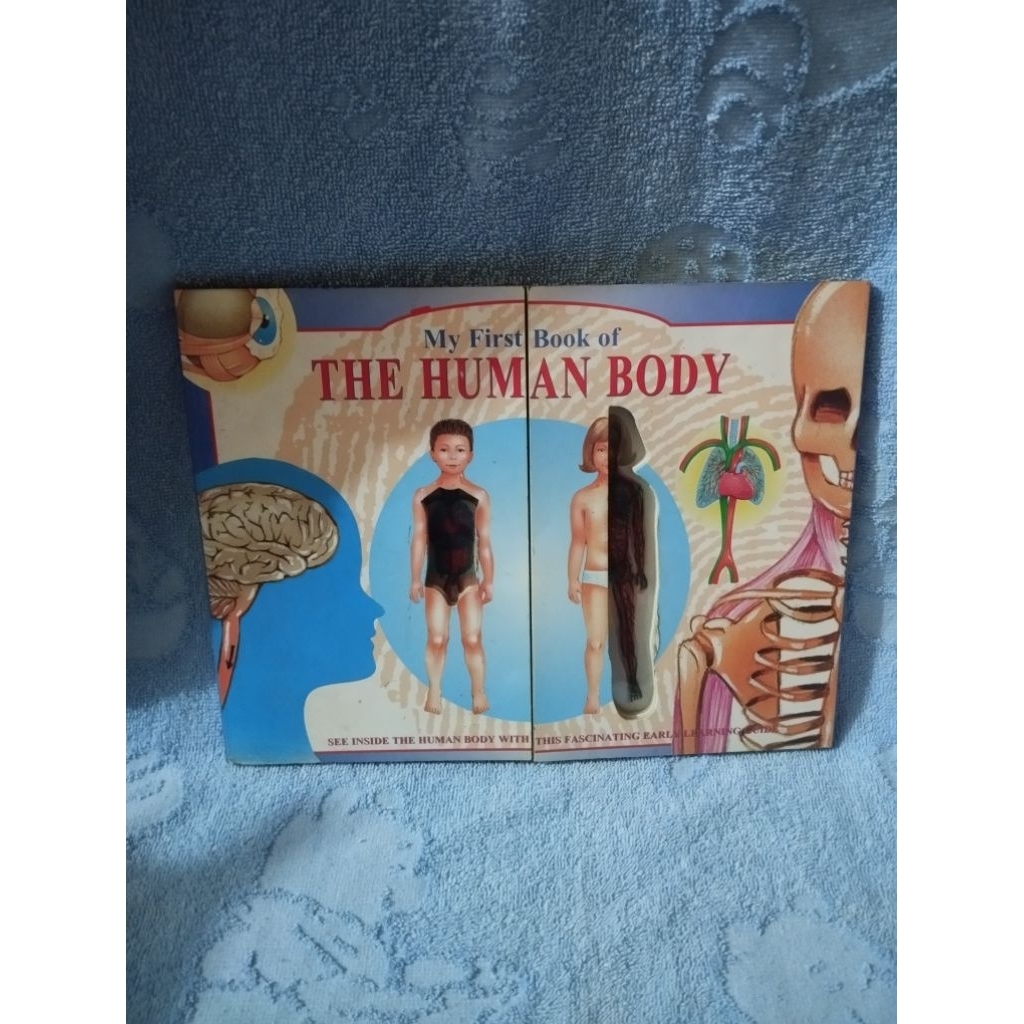 my first book of the human body