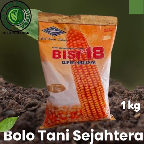 BENIH JAGUNG SUPER HIBRIDA BISI 18 1 KG - Bibit Jagung Cap Kapal Terbang Original Tongkol Besar