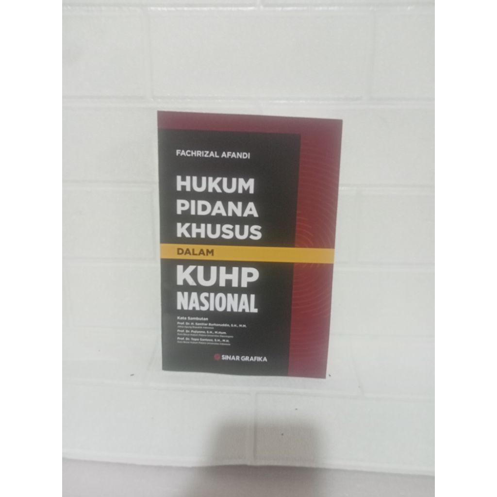 buku hukum pidana khusus dalam KUHP nasional