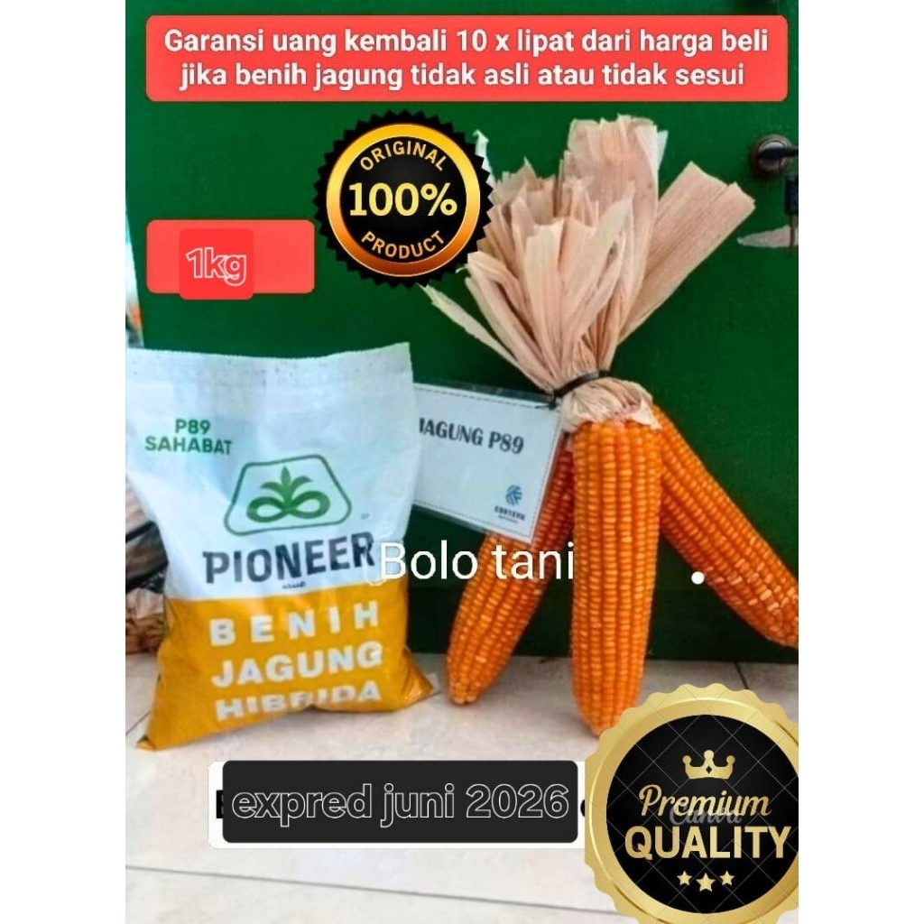 Benih bibit jagung Hibrida pioner 89 sahabat 1 kg expred 19 juni 2026 original